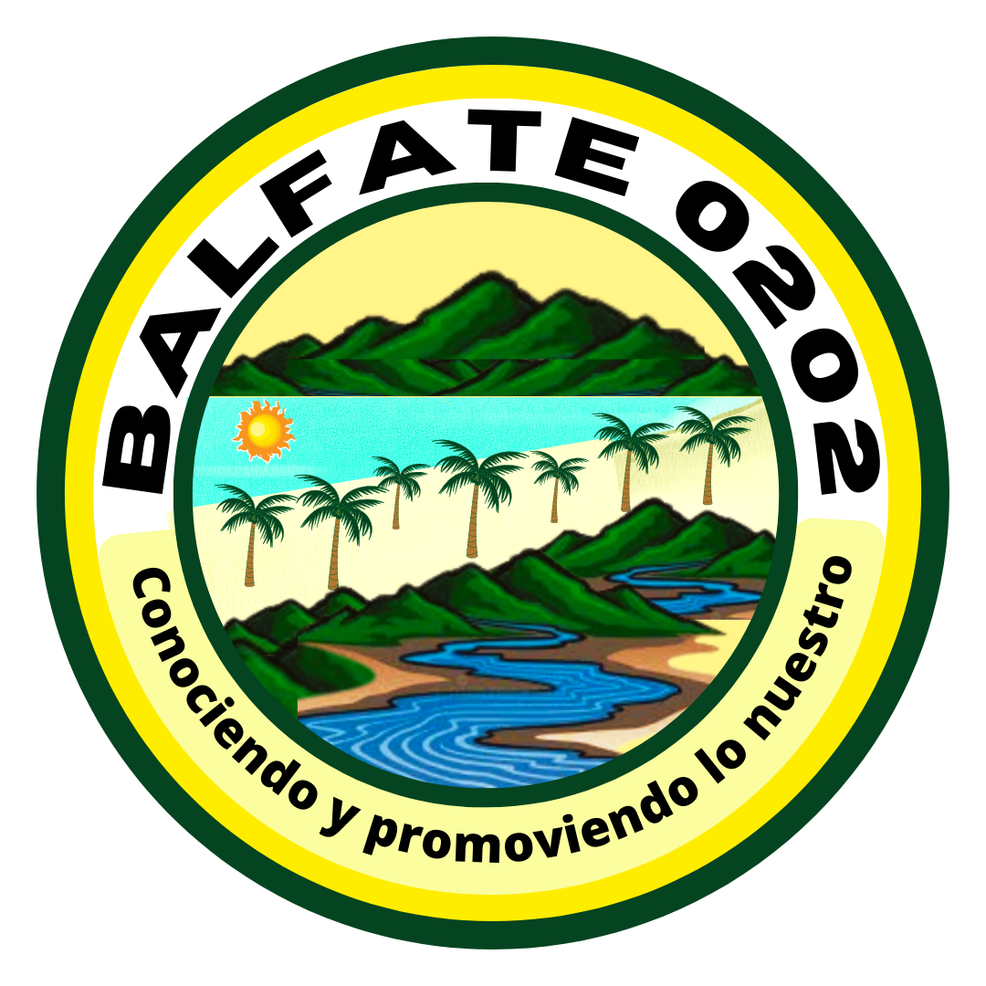 Logo Footer